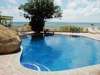 Black Parrot Suites Superior 